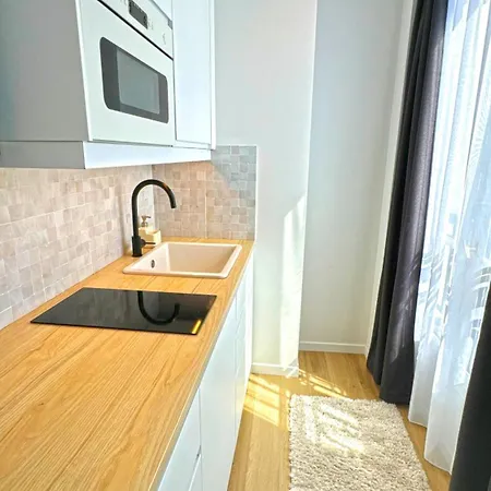 Paris Apartment