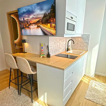 Paris Apartment 巴黎